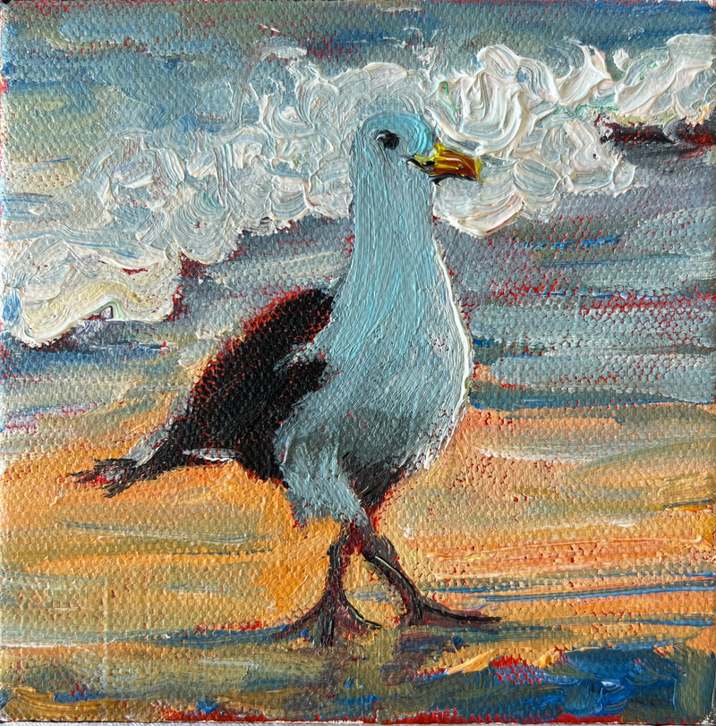Seagull #24