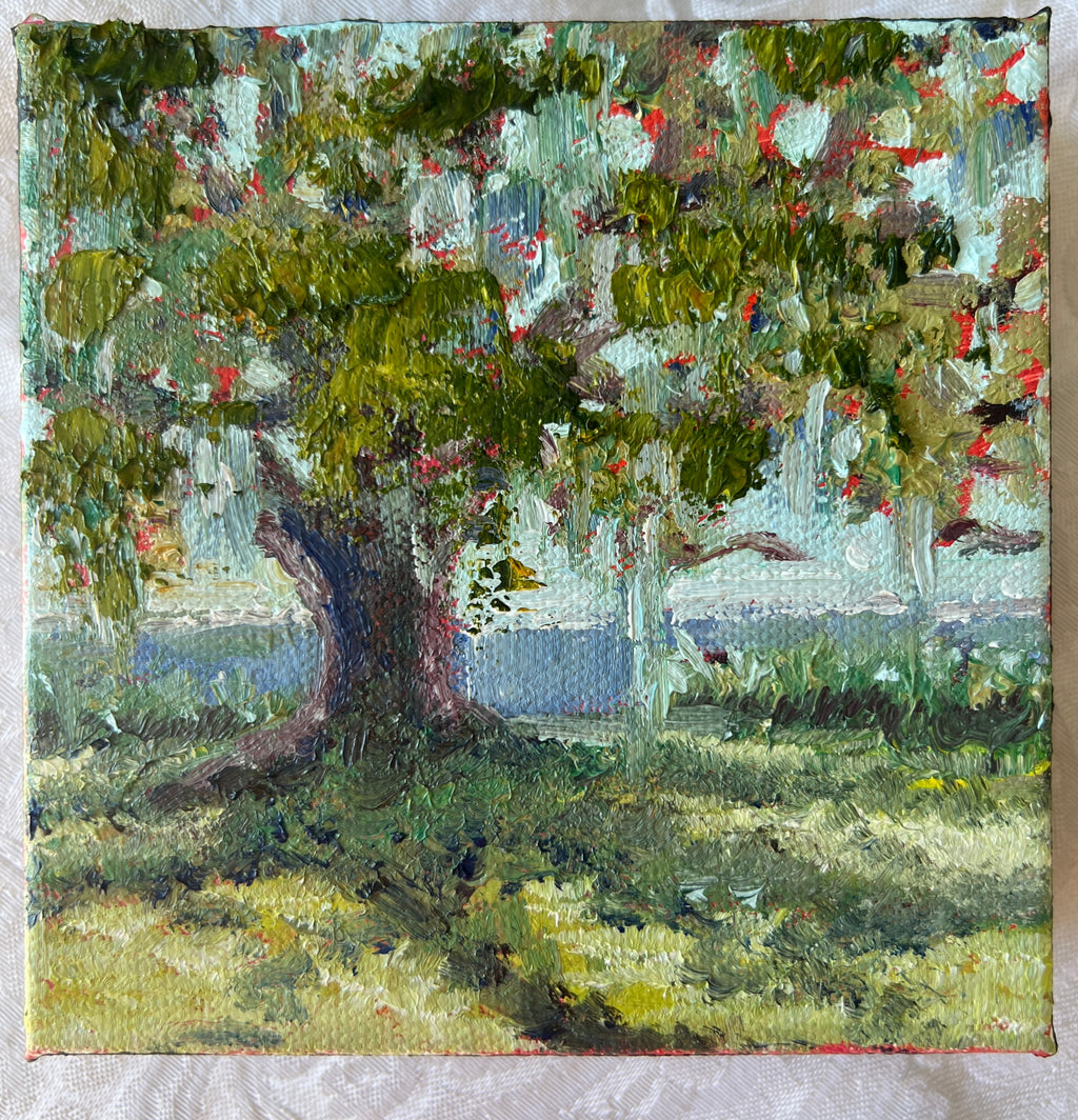 Live Oak #33