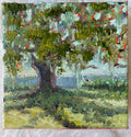 Live Oak #33