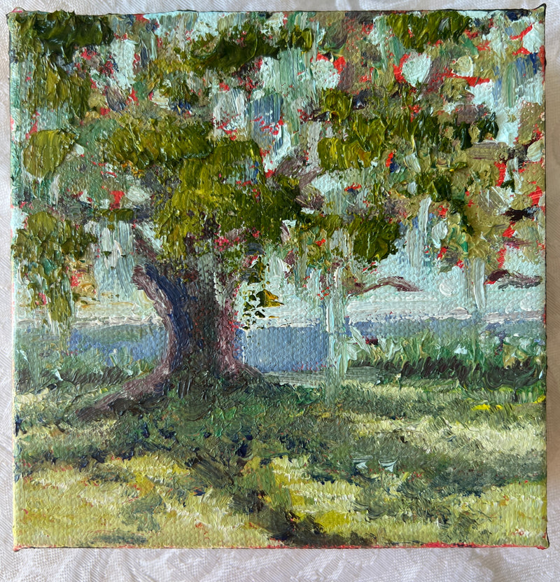 Live Oak #33