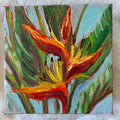 Bird of Paradise #37