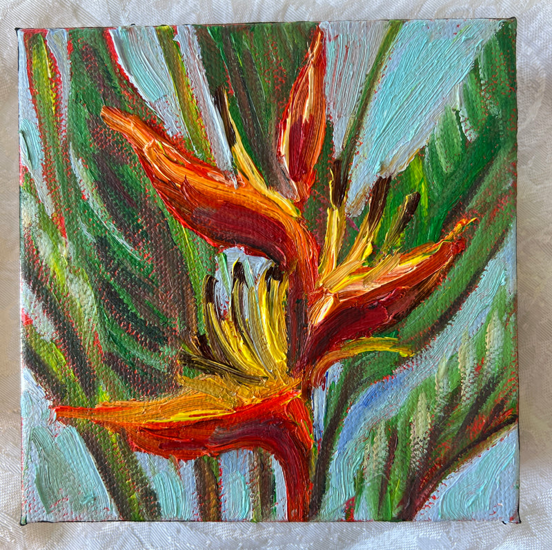 Bird of Paradise #37