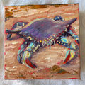 Blue Crab #43