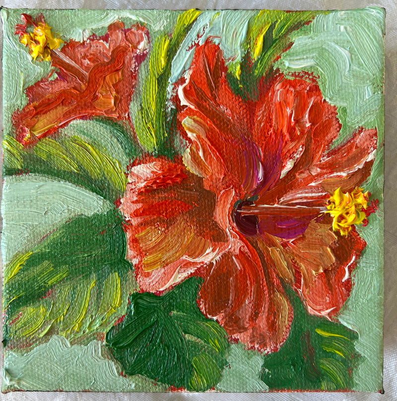 Hibiscus #40