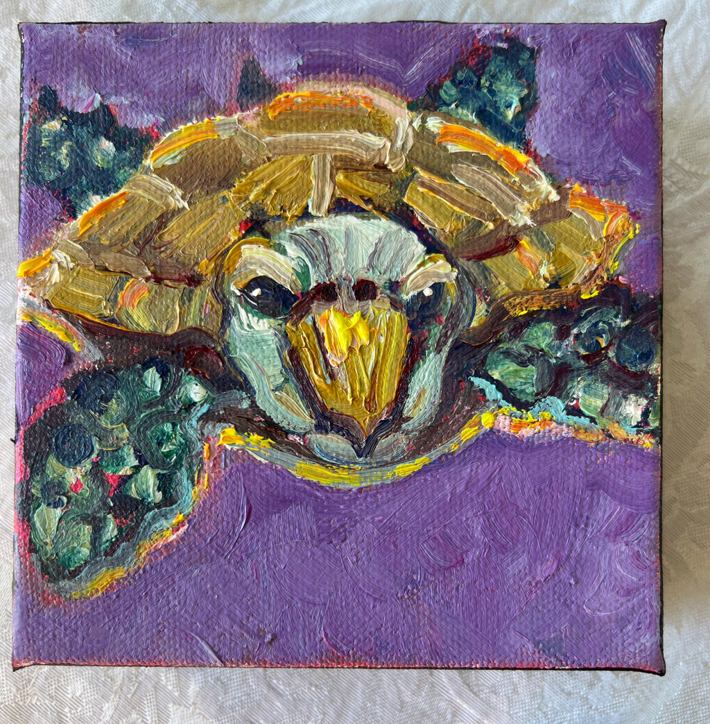 Sea Turtle #44