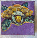 Sea Turtle #44
