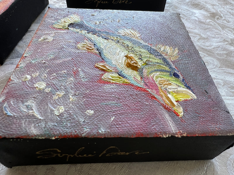 Wide-Mouthed Bass #48