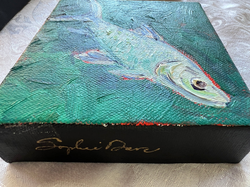 Tarpon #51