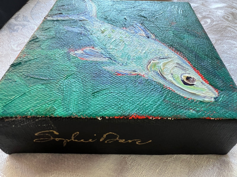 Tarpon #51