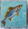 Speckled Trout #50