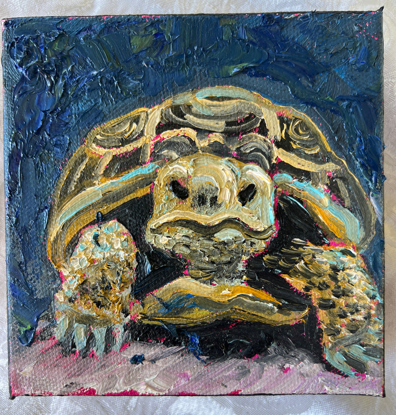 Gopher Turtle #54