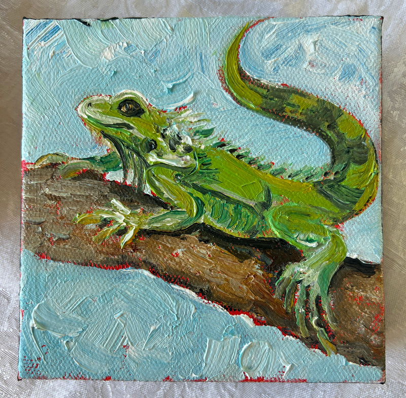 Iguana #26