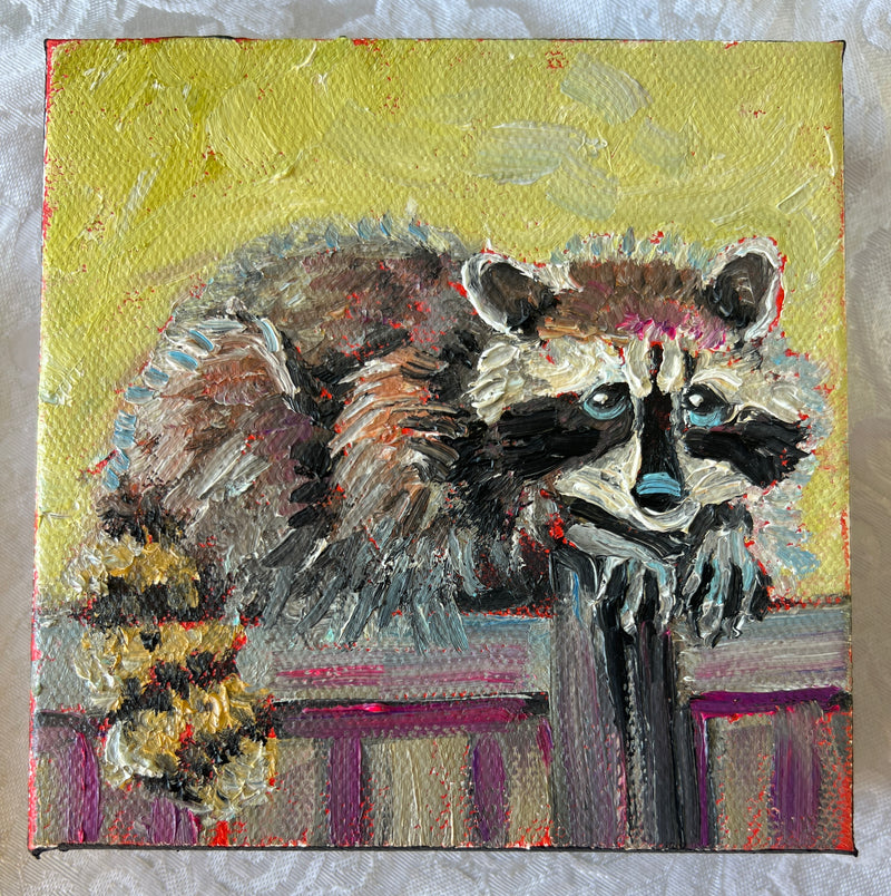 Raccoon #55