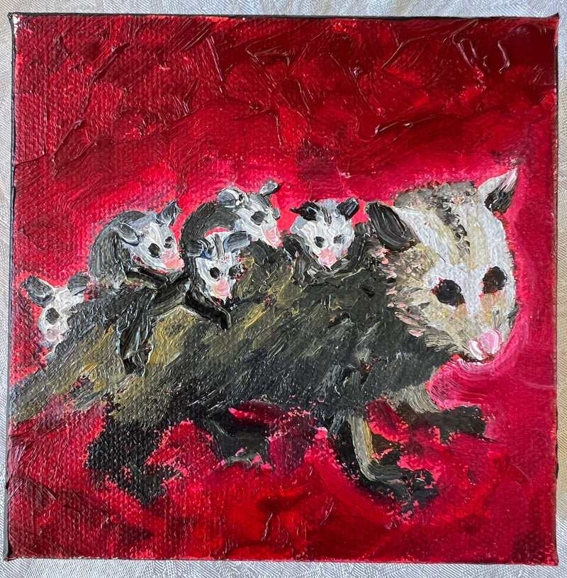 Possum #56