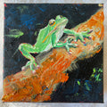 Green Tree Frog #27