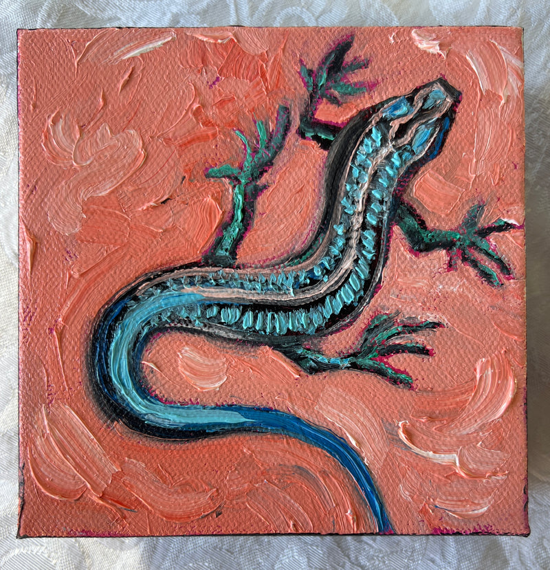 Blue-Tailed Skink #28