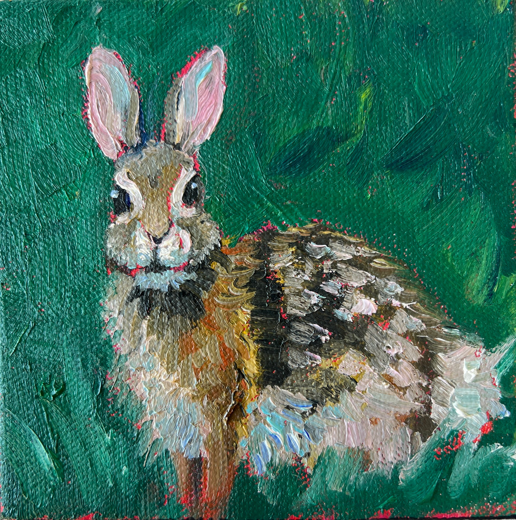 Eastern Cottontail Rabbit #57