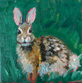 Eastern Cottontail Rabbit #57