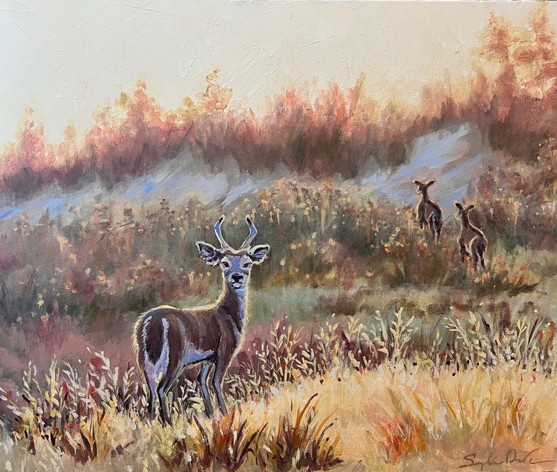 White-Tailed Golden Field