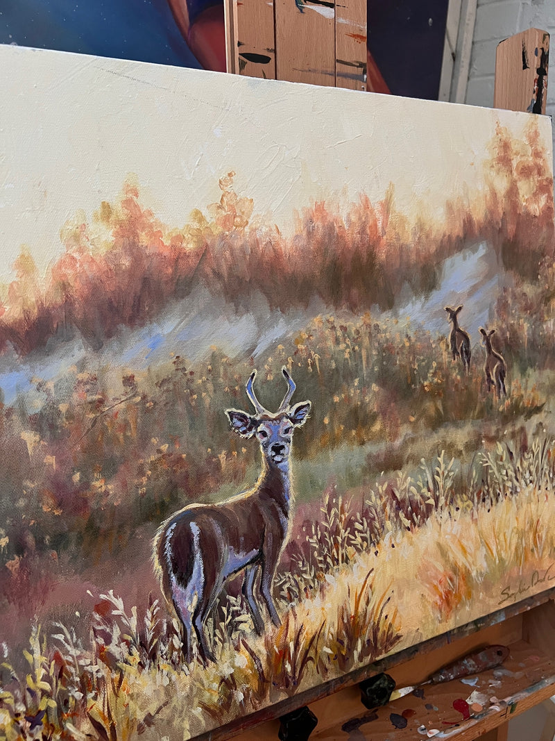 White-Tailed Golden Field
