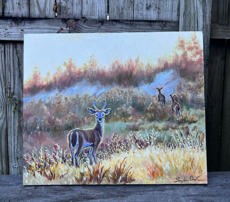 White-Tailed Golden Field