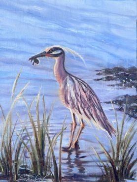 Yellow Crowned Night Heron