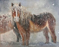 Horse in Snow Storm