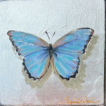 Blue Morpho Butterfly on Silver