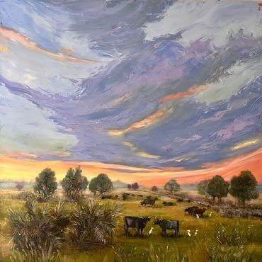 Historic Florida Cracker Cattle at Dawn