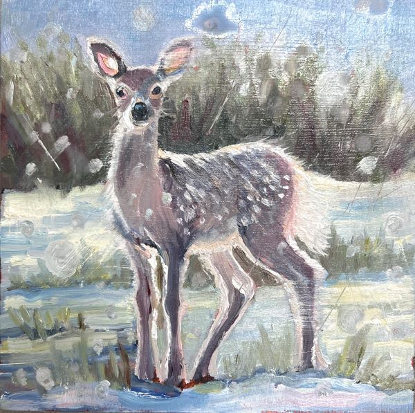 Fawn in Snow