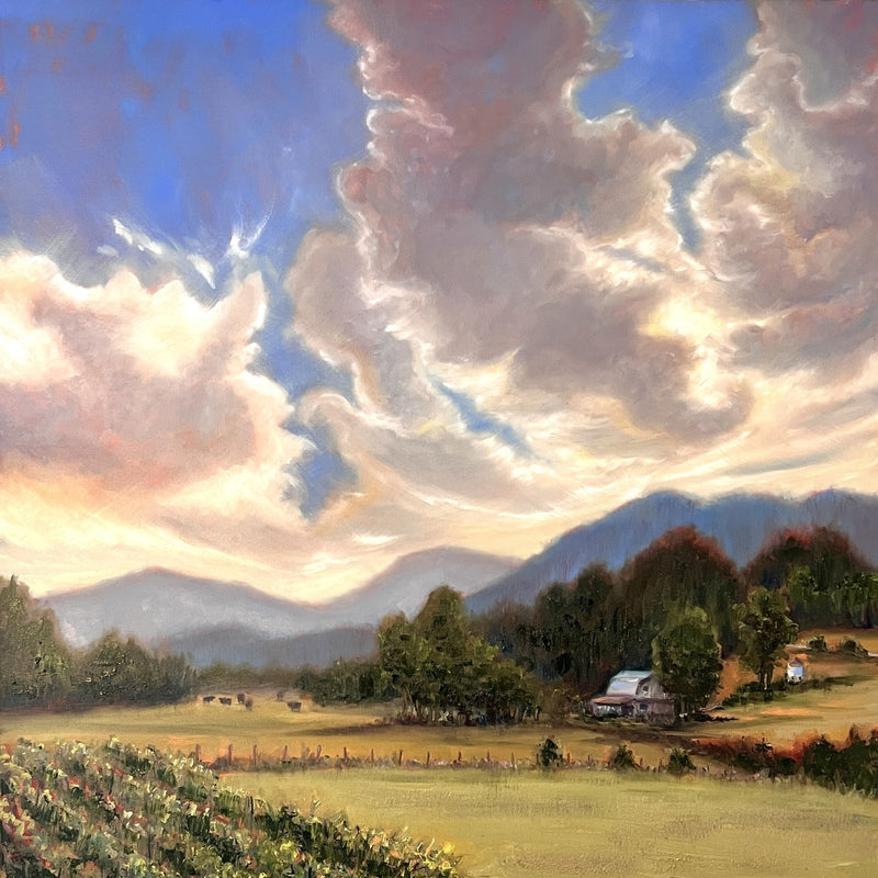 Georgia Vineyard