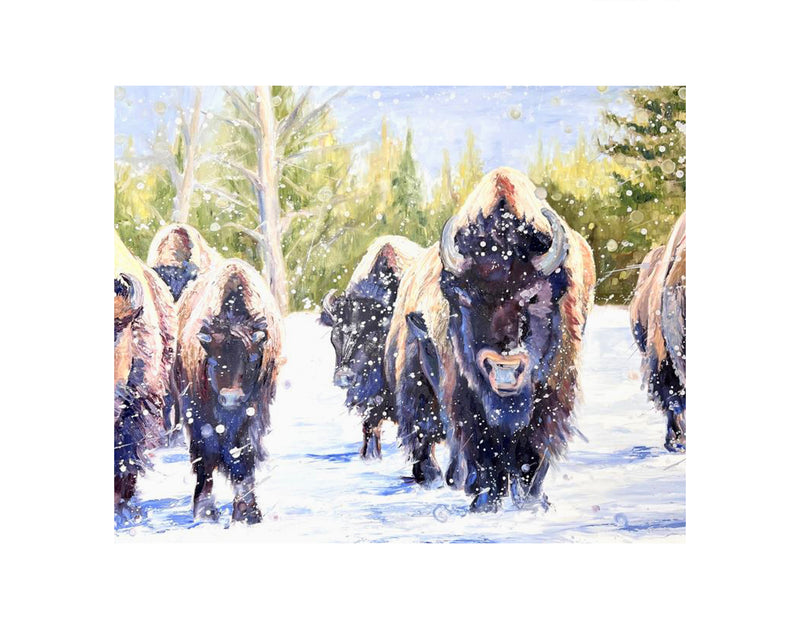 Bison in Snow Limited Edition Print