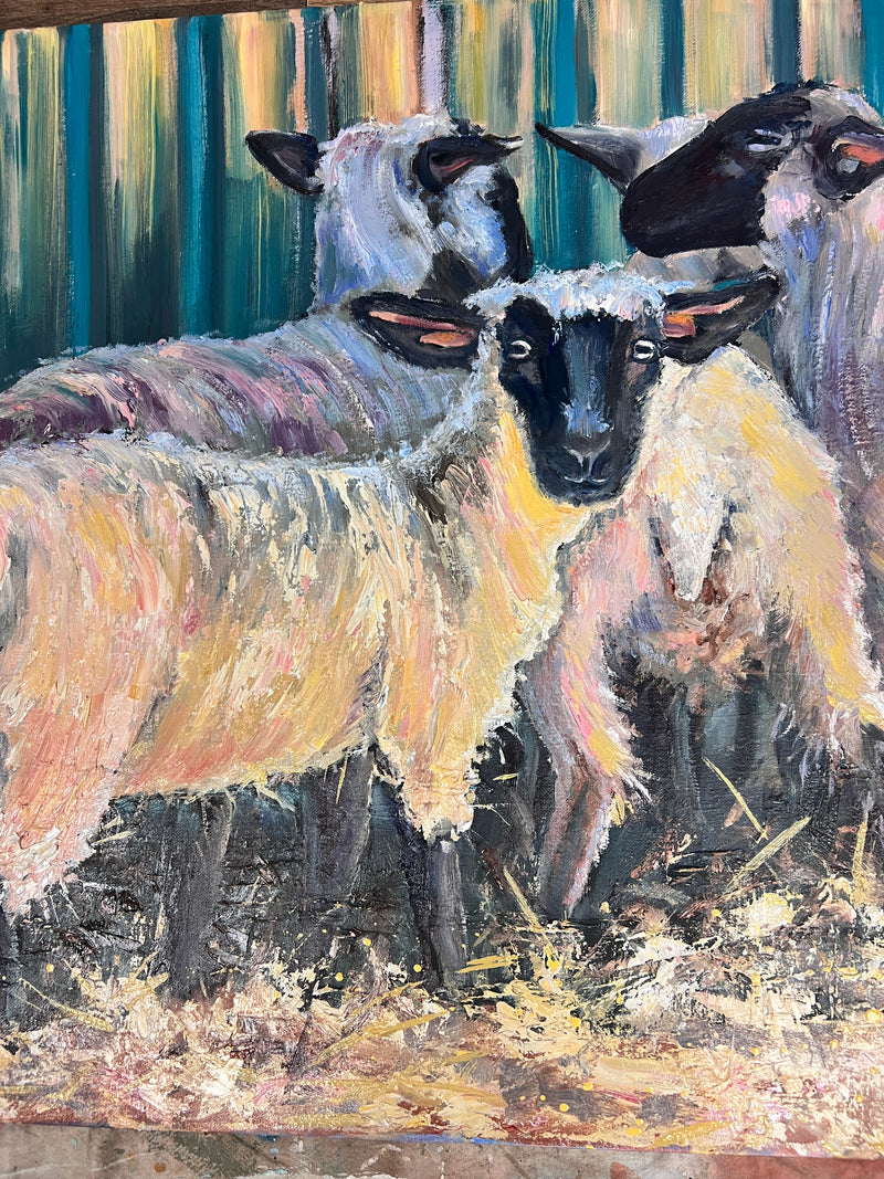 Sheep Flock in the Afternoon