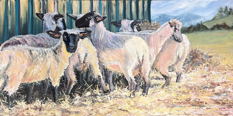 Sheep Flock in the Afternoon