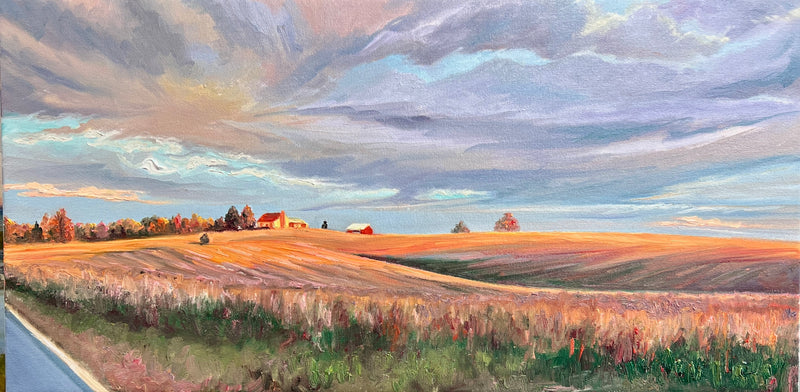 Sunrise Glow on the Field