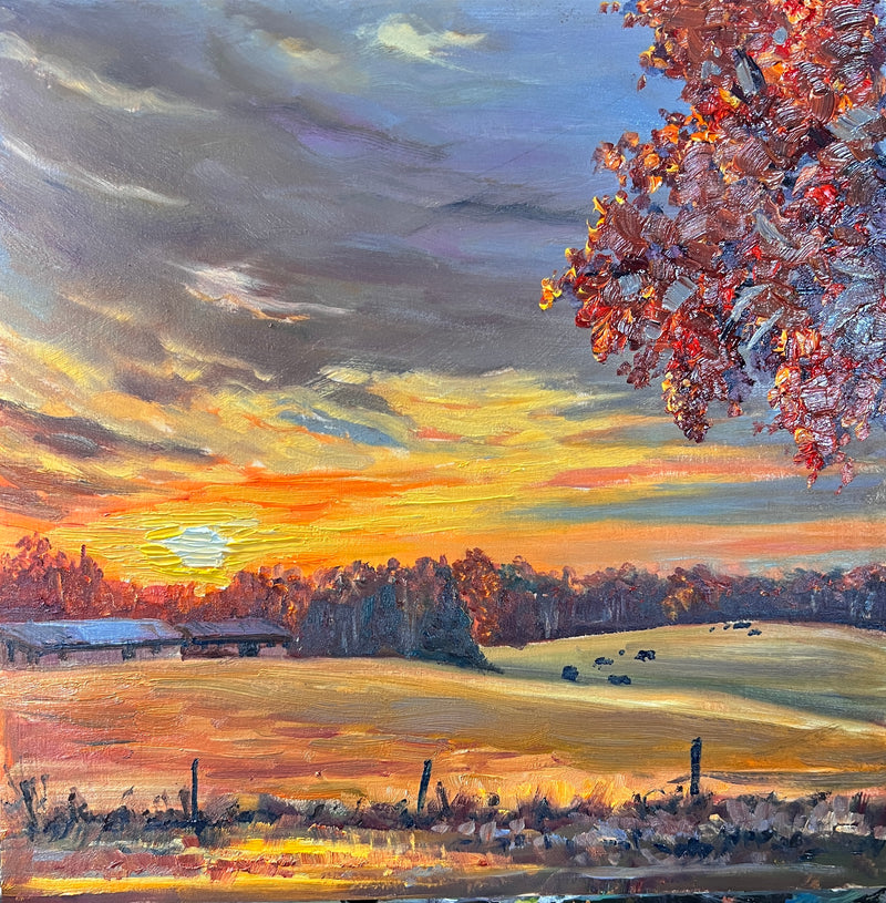 The Warmth of a Carolina Sunrise