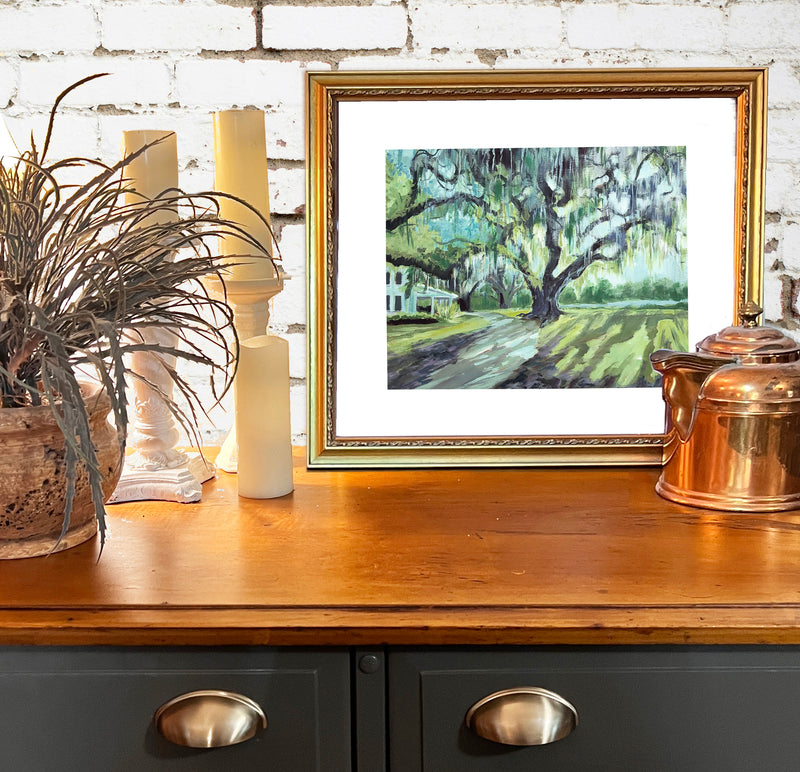 Kiawah Tree Limited Edition Print