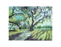 Kiawah Tree Limited Edition Print