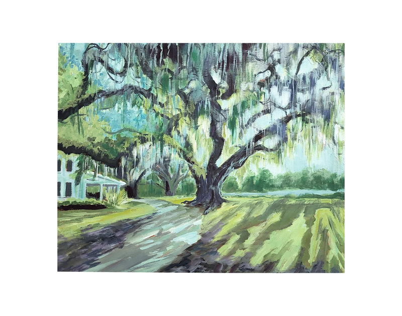 Kiawah Tree Limited Edition Print