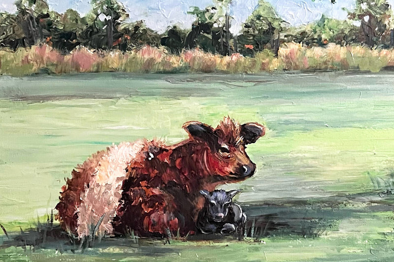 Mother and Calf Belted Galloway