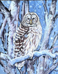 Winter Owl on Blue
