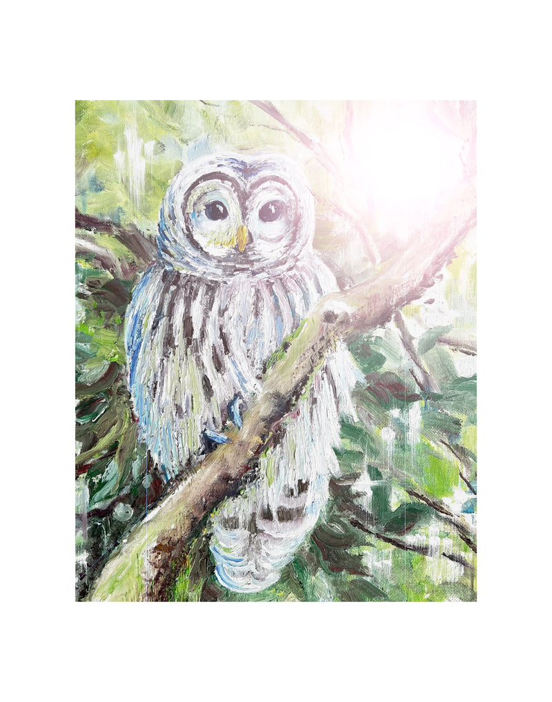 Owl Limited Edition Print